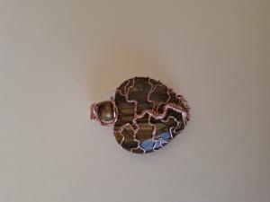 pendant  