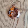 Maori Koru pendant