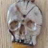 skull