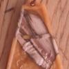 Cancer pendant